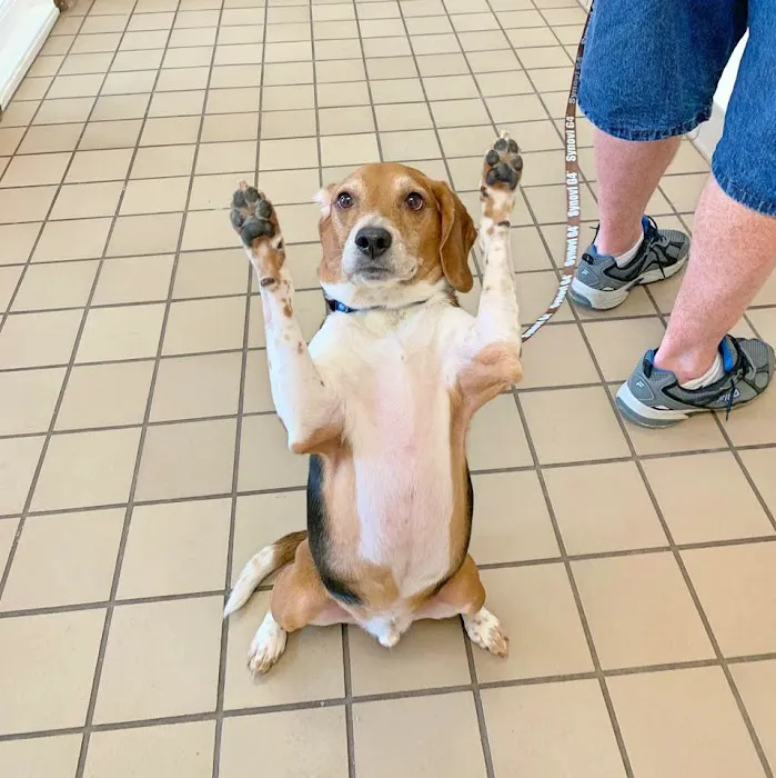 Worthington Woods Animal Care Center Picture 4