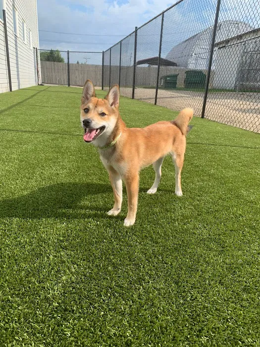Worthington Woods Animal Care Center Picture 9