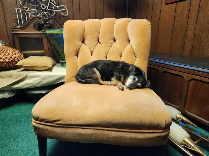 Knapp Veterinary Hospital Inc Picture 9