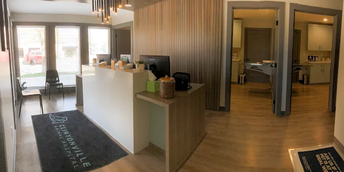 Clintonville Animal Hospital Picture 10