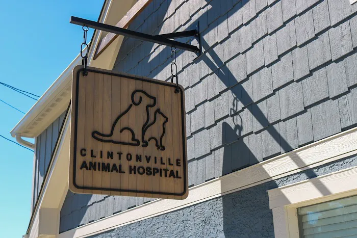 Clintonville Animal Hospital Picture 7
