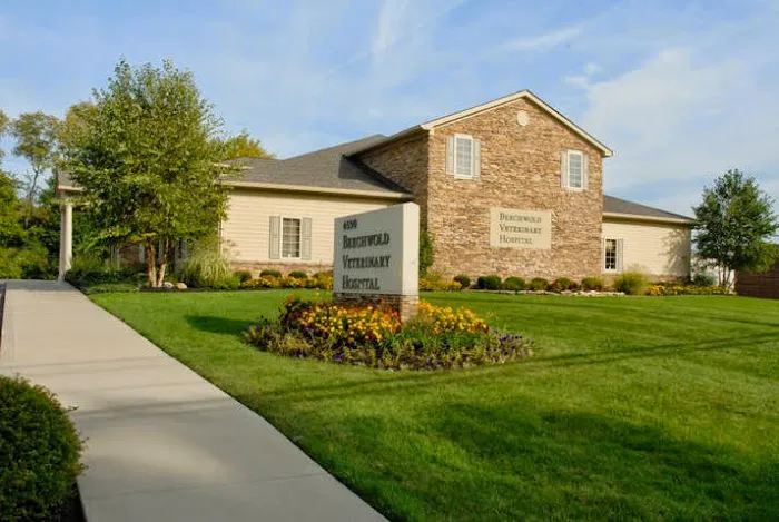 Beechwold Veterinary Hospital, A Thrive Pet Healthcare Partner Picture 5