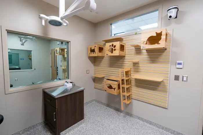 The Frank Stanton Veterinary Spectrum of Care Clinic Picture 2