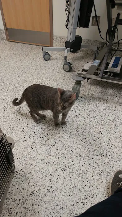 The Ohio State University Veterinary Medical Center Picture 2