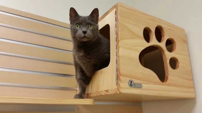 The Ohio State University Veterinary Medical Center Picture 5