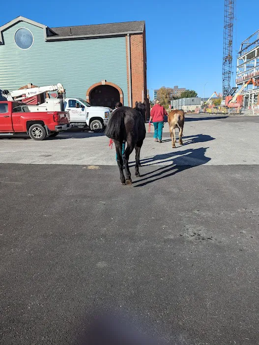 Galbreath Equine Center (Ohio State Veterinary Medical Center) Picture 1
