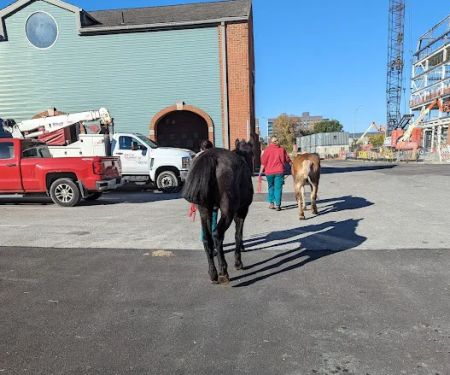 Galbreath Equine Center (Ohio State Veterinary Medical Center)