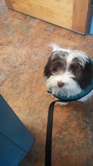 Ripley Animal Clinic Picture 7