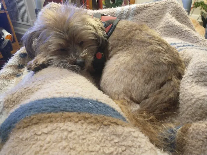 Ripley Animal Clinic Picture 9