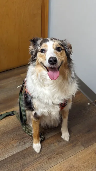 Ripley Animal Clinic Picture 4