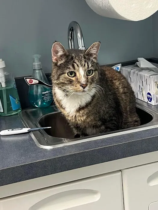 Fifth & Kenny Animal Hospital Picture 10
