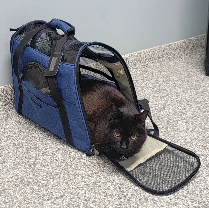 Fifth & Kenny Animal Hospital Picture 2