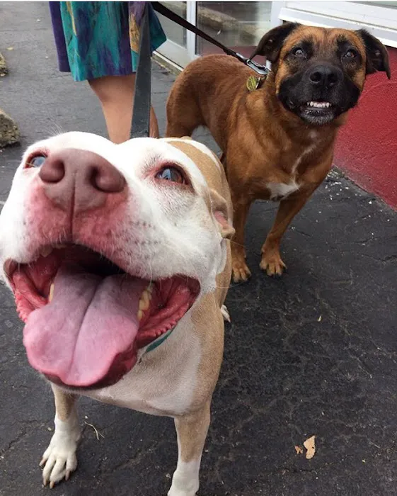 Fifth & Kenny Animal Hospital Picture 6
