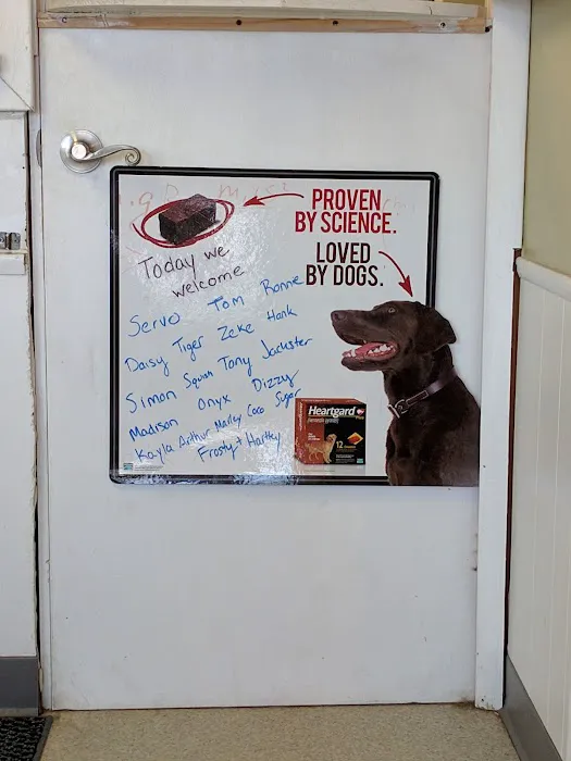 Fifth & Kenny Animal Hospital Picture 4