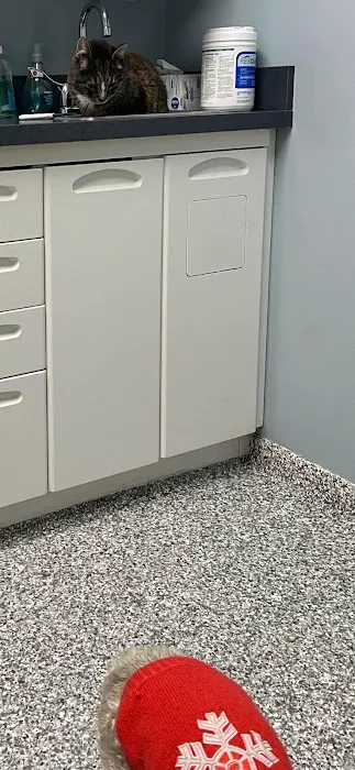 Fifth & Kenny Animal Hospital Picture 3