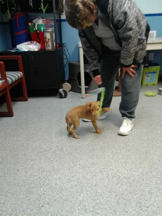 Pet Solutions of Columbus Picture 4