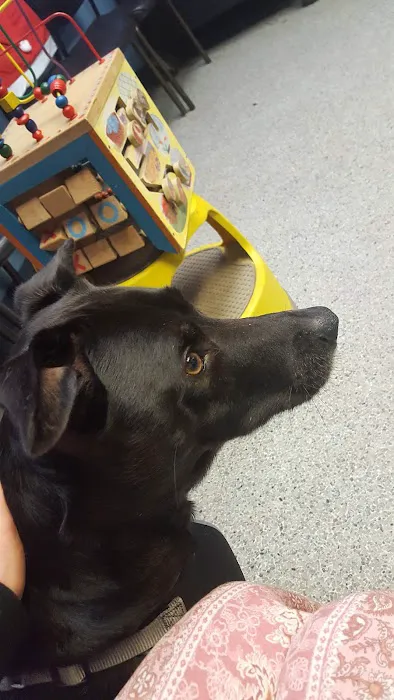 Pet Solutions of Columbus Picture 1