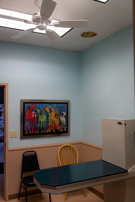 Vet Clinic Picture 10