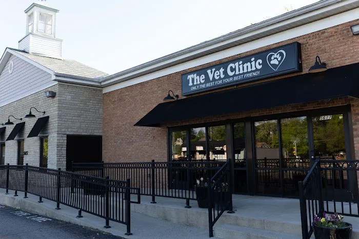 Vet Clinic Picture 3