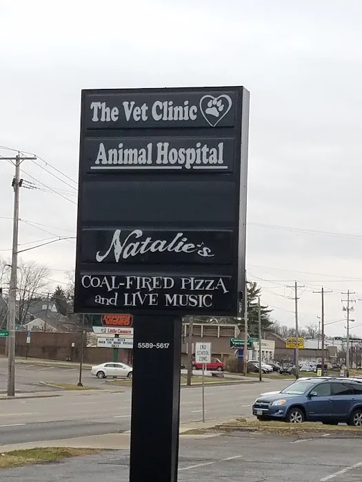 Vet Clinic Picture 2
