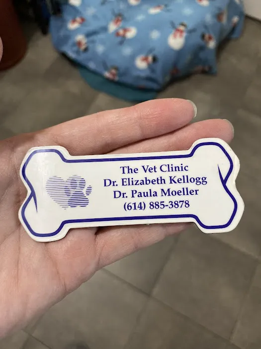 Vet Clinic Picture 5