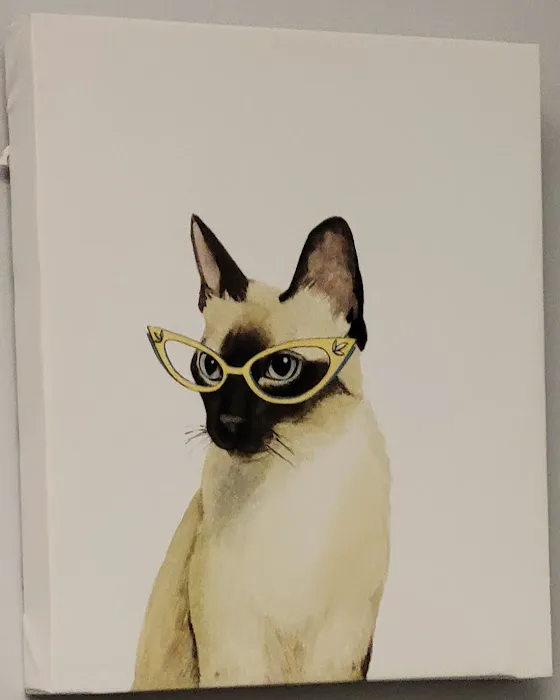 ValuVet Wellness - Graceland Picture 3