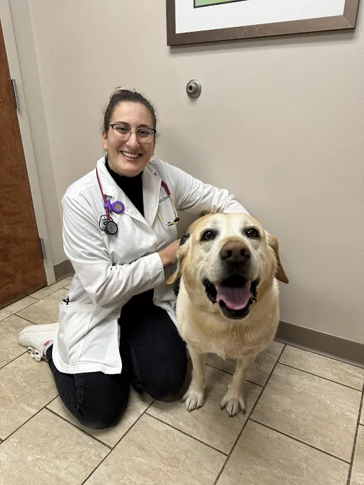 Animal Hospital of Worthington Picture 3