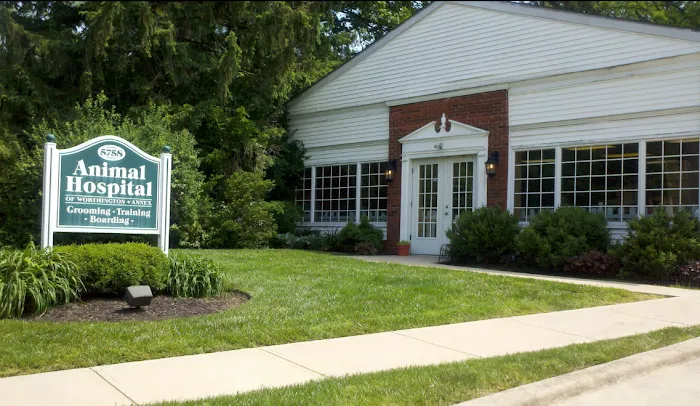 Animal Hospital of Worthington Picture 10