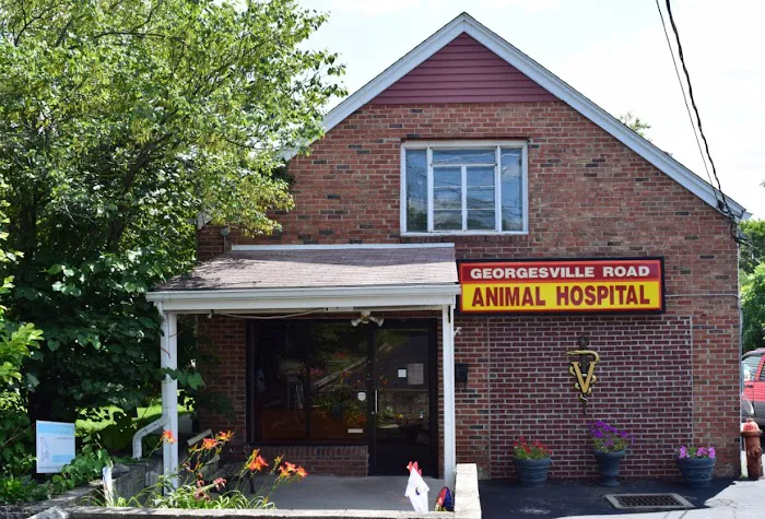 Georgesville Road Animal Hospital Picture 7
