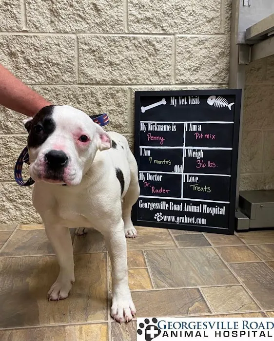 Georgesville Road Animal Hospital Picture 1