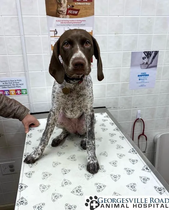 Georgesville Road Animal Hospital Picture 5
