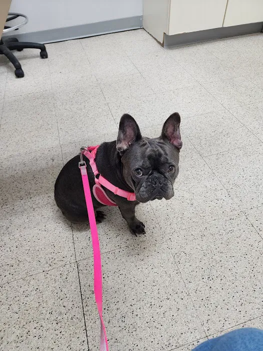 Westside Animal Clinic Picture 2