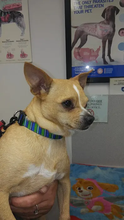 Westside Animal Clinic Picture 9