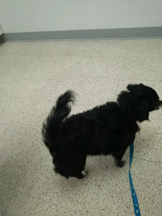 Westside Animal Clinic Picture 10