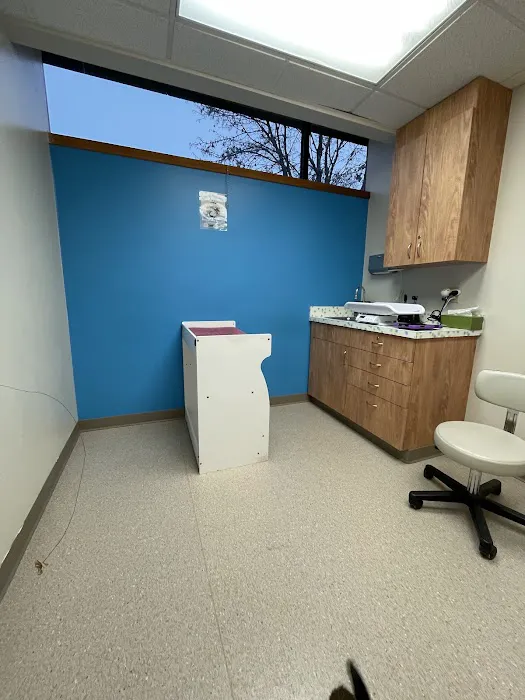 Purrfect Care Feline Medical Center Picture 8