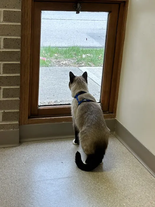Purrfect Care Feline Medical Center Picture 2