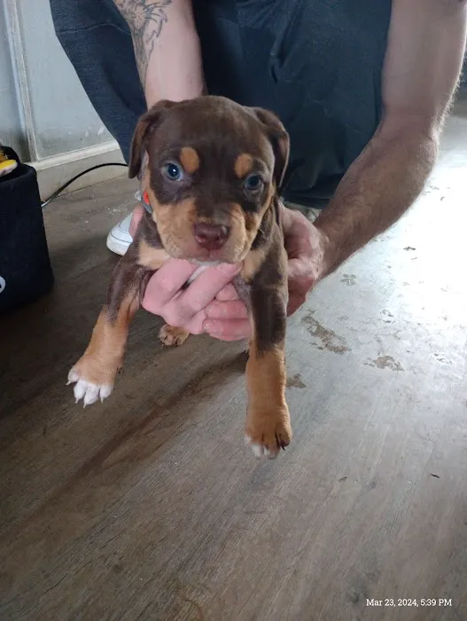 Lincoln Way Animal Hospital Picture 8