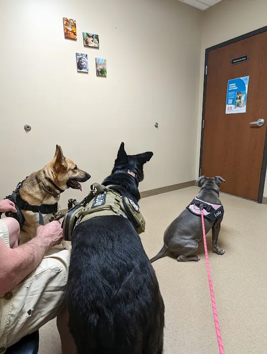Lincoln Way Animal Hospital Picture 9