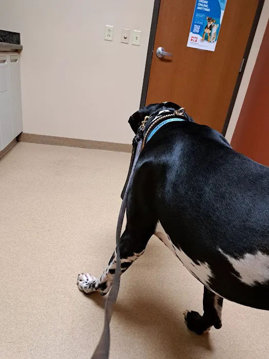 Lincoln Way Animal Hospital Picture 2