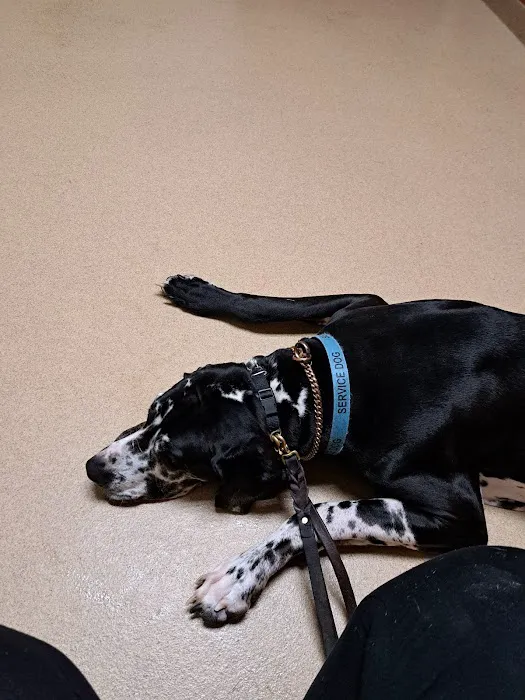 Lincoln Way Animal Hospital Picture 3