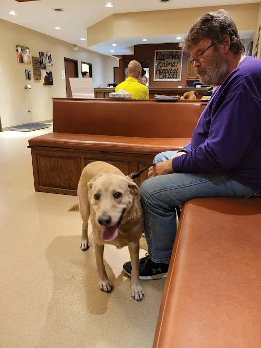 Lincoln Way Animal Hospital Picture 4