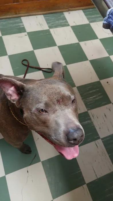 Kantzer Veterinary Clinic Picture 4