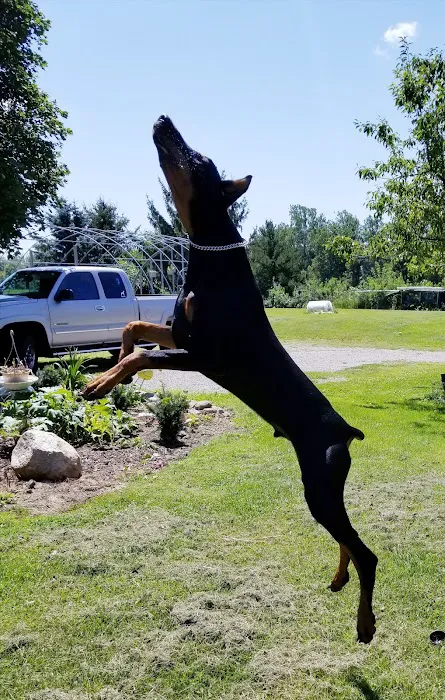Kantzer Veterinary Clinic Picture 5