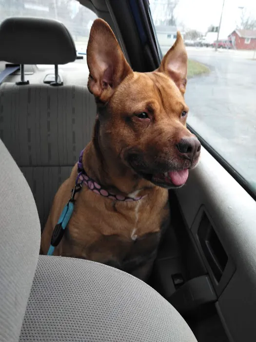 Kantzer Veterinary Clinic Picture 6