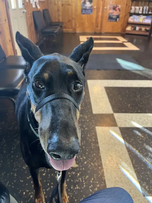 Kantzer Veterinary Clinic Picture 9