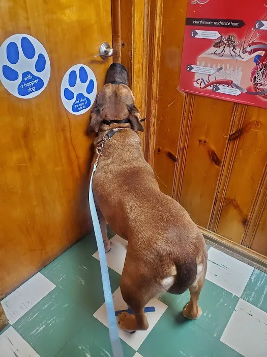 Kantzer Veterinary Clinic Picture 1