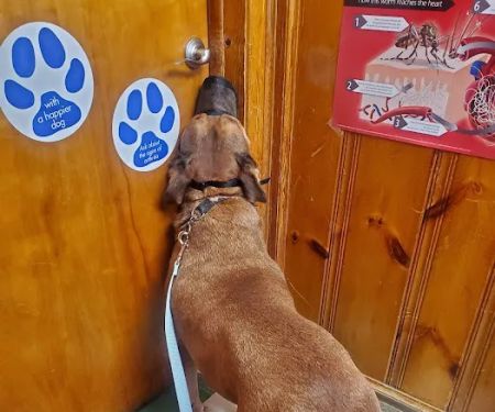 Kantzer Veterinary Clinic