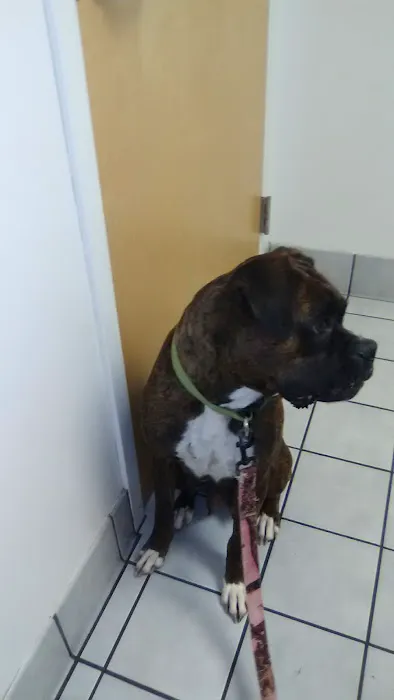 Yancey Clinic-Veterinary Med Picture 2