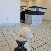 Yancey Clinic-Veterinary Med ico