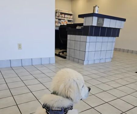 Yancey Clinic-Veterinary Med